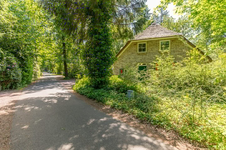 Photo 4 of Buinerweg 8-219