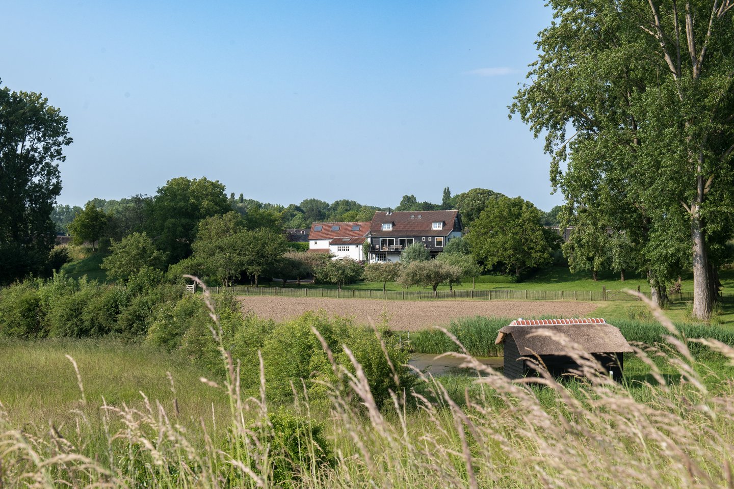 Bekijk foto 3 van Maasdijk 39