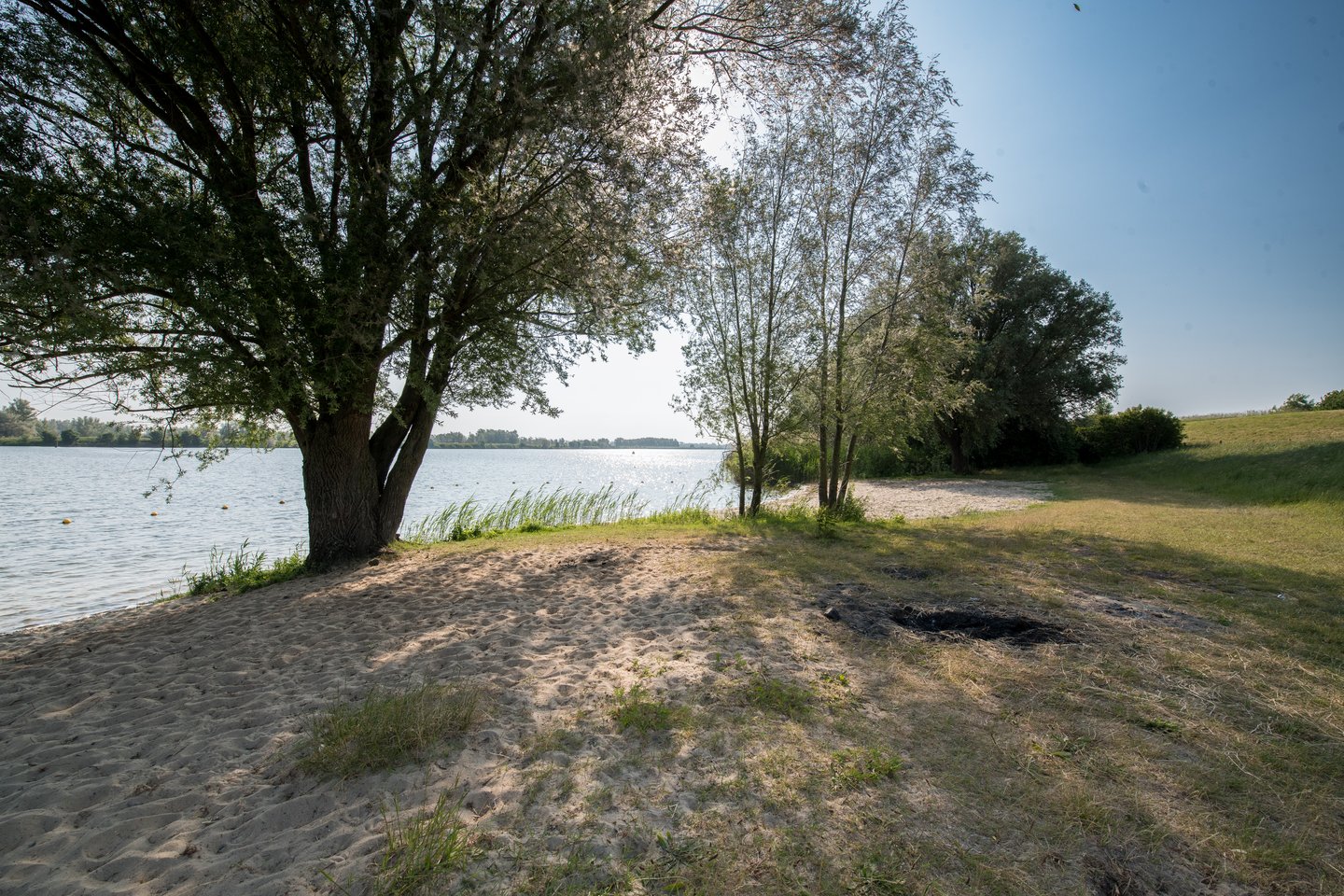 Bekijk foto 4 van Maasdijk 39
