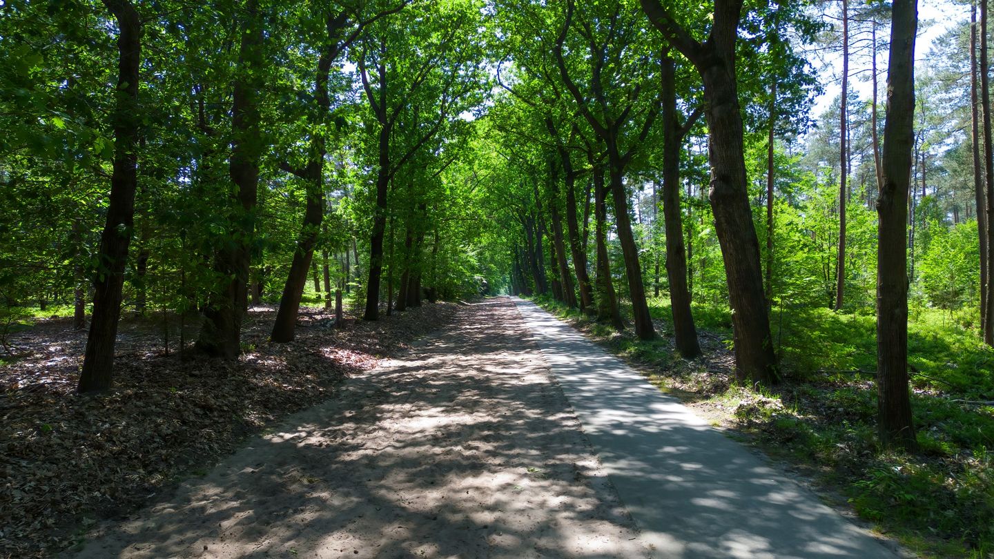 Foto 29 van Koeweg 21-118