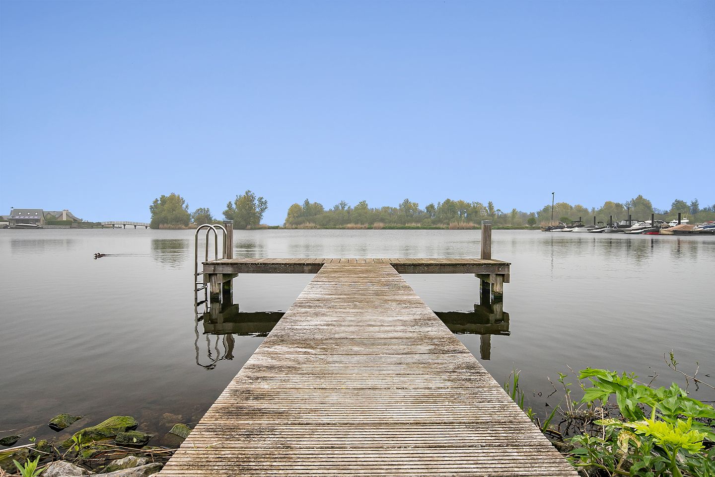 Foto 5 van Oesterdam 45