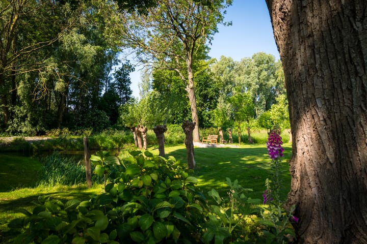 Photo 7 of Laan van Zeestraten 20