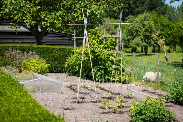 Photo 54 of Laan van Zeestraten 20