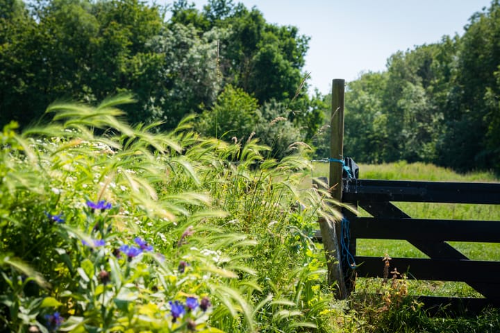 Photo 51 of Laan van Zeestraten 20