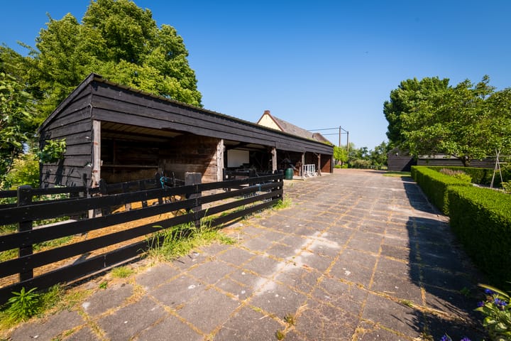 Photo 50 of Laan van Zeestraten 20