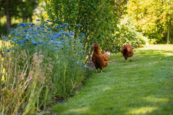 Photo 56 of Laan van Zeestraten 20