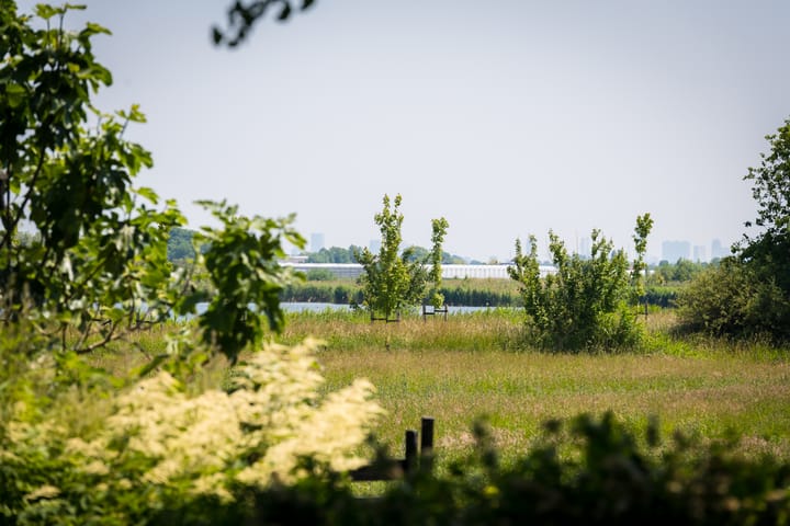 Photo 59 of Laan van Zeestraten 20