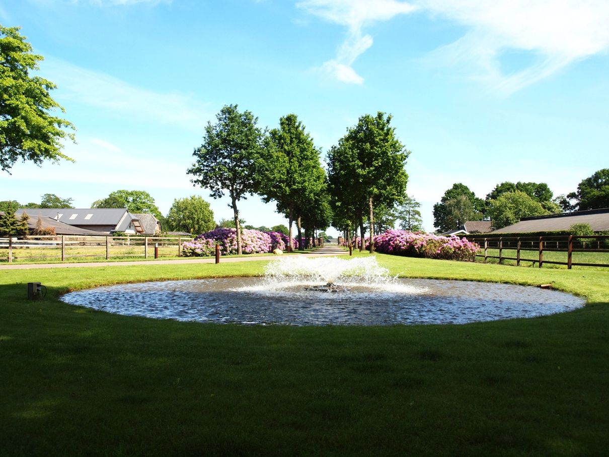 Laarweg 15 - Harskamp - Afbeelding 6