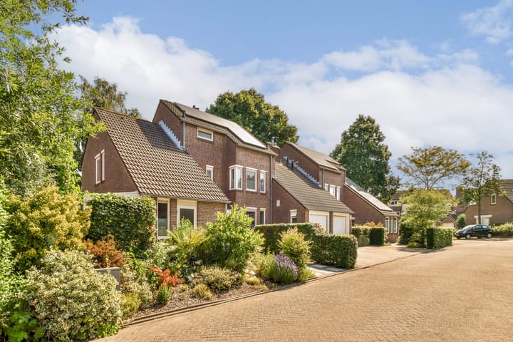 Foto 2 van Pimpernel 9