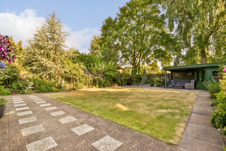 Foto 38 van Pimpernel 9