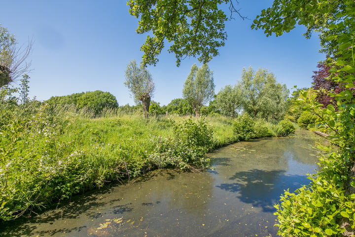 Bekijk foto 46 van Havikskruid 17