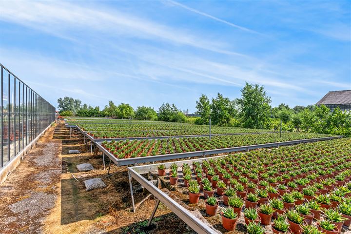 Bekijk foto 6 van Oosteinderweg 120