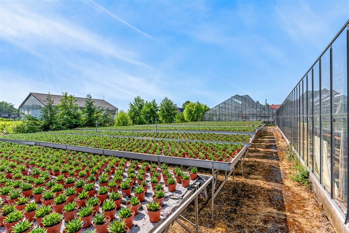 Bekijk foto 32 van Oosteinderweg 120