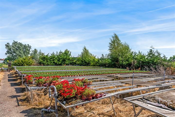 Bekijk foto 33 van Oosteinderweg 120