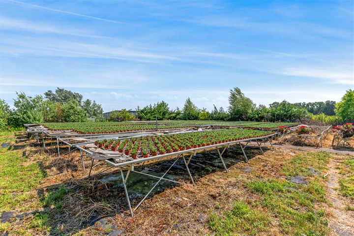 Bekijk foto 34 van Oosteinderweg 120