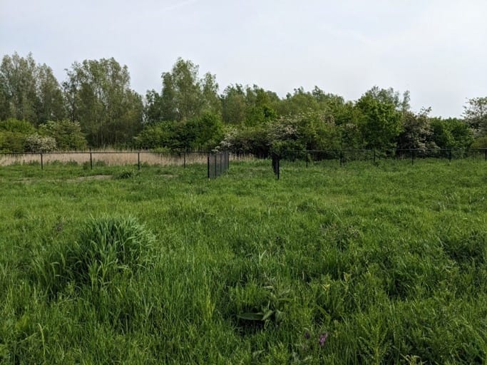 Foto 8 van Terp de Blauwborst Kavel 3