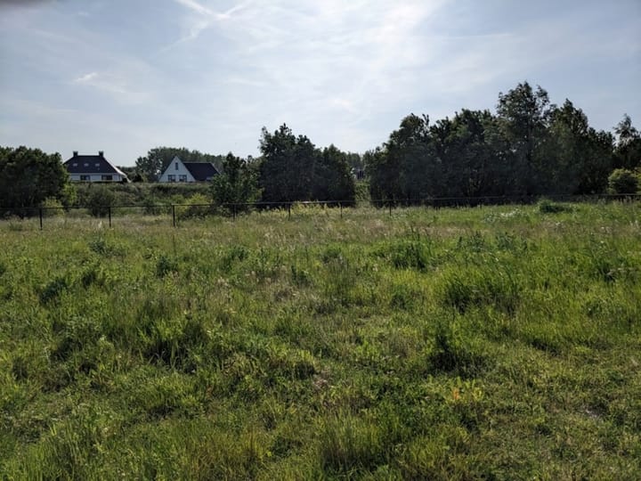 Photo 12 of Terp de Blauwborst Kavel 3