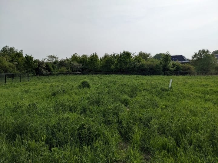 Photo 11 of Terp de Blauwborst Kavel 3