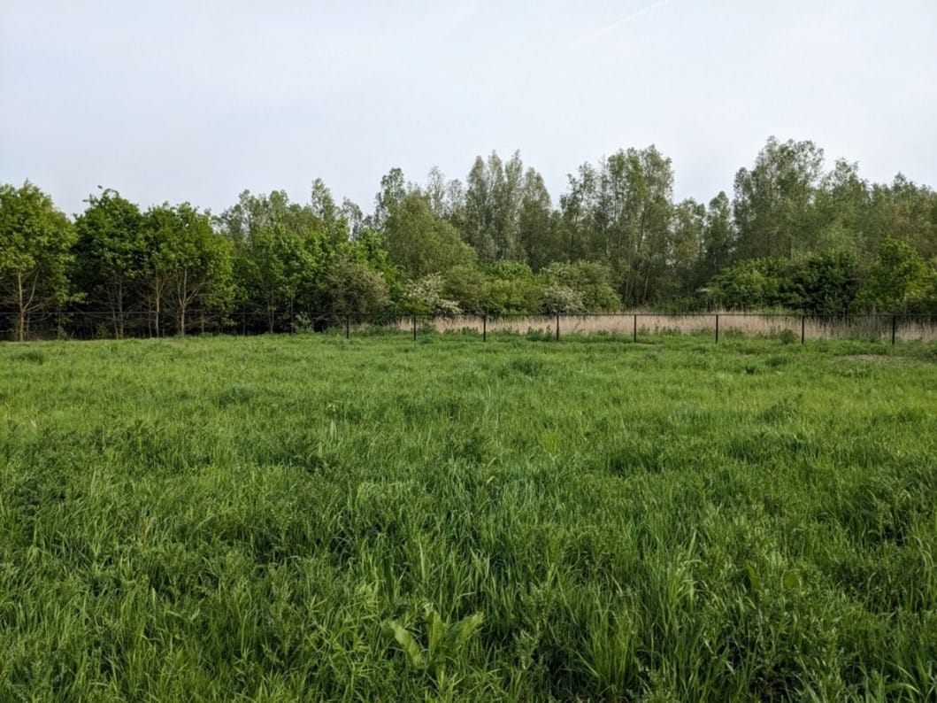 Foto 12 van Terp de Blauwborst Kavel 4