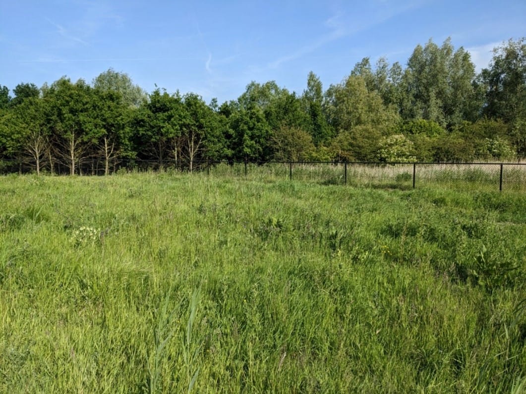 Foto 11 van Terp de Blauwborst Kavel 4