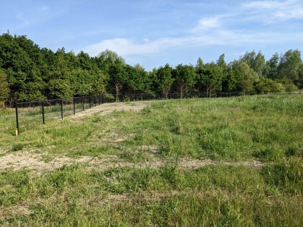 Foto 11 van Terp de Blauwborst Kavel 6