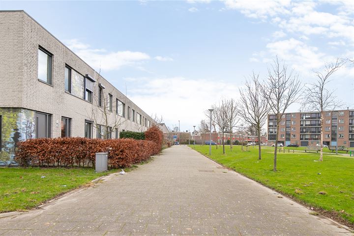 Bekijk foto 31 van Petrarcastraat 41