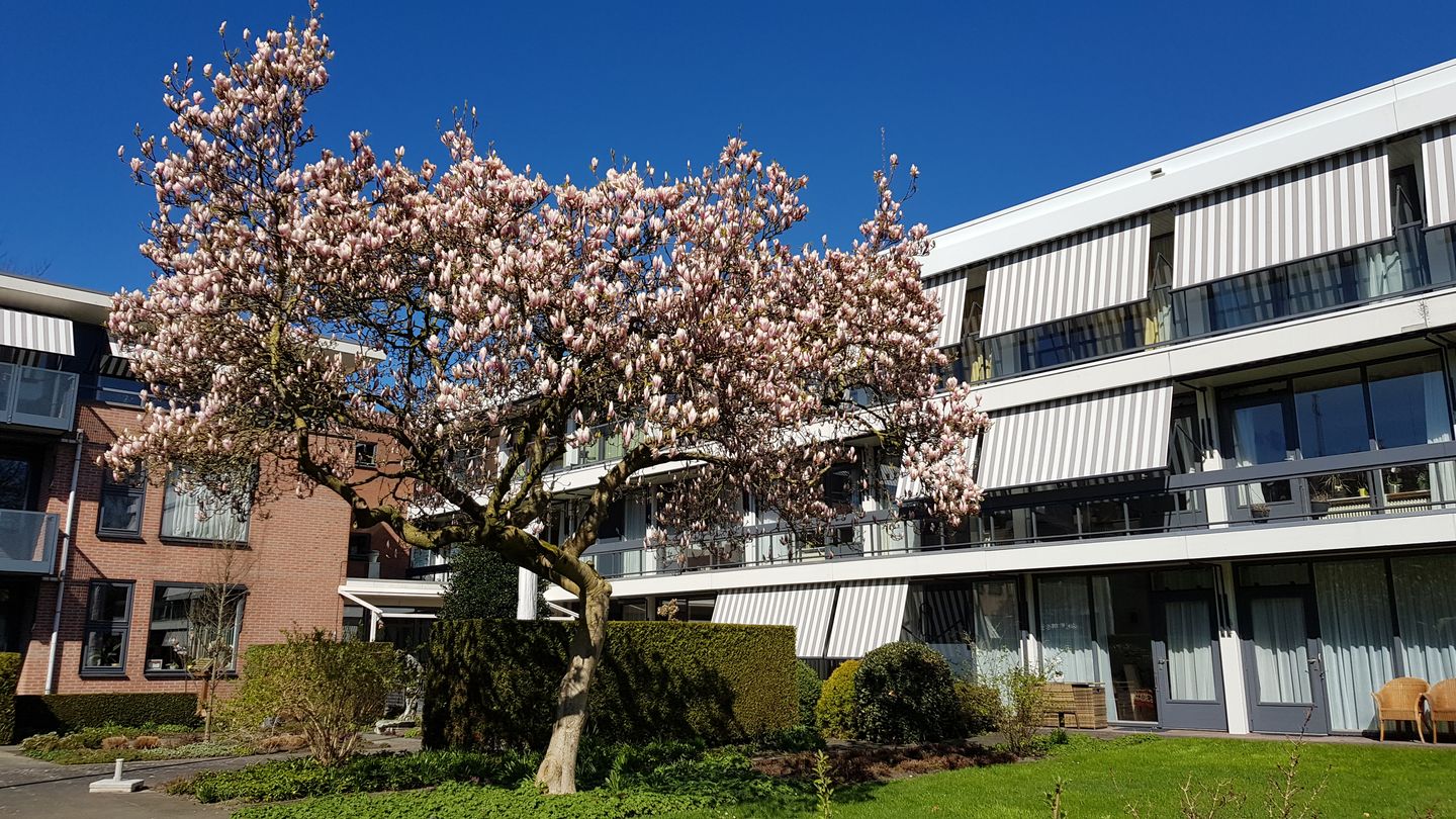 Photo 4 of Westerholm