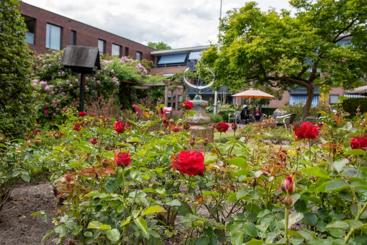 Photo 6 of Westerholm