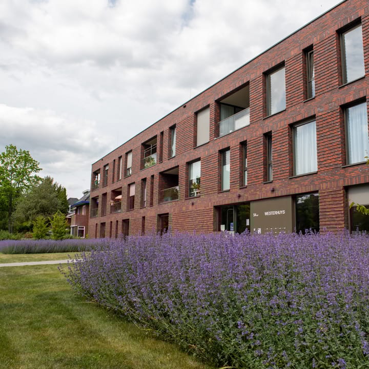 Foto 18 van Westerholm