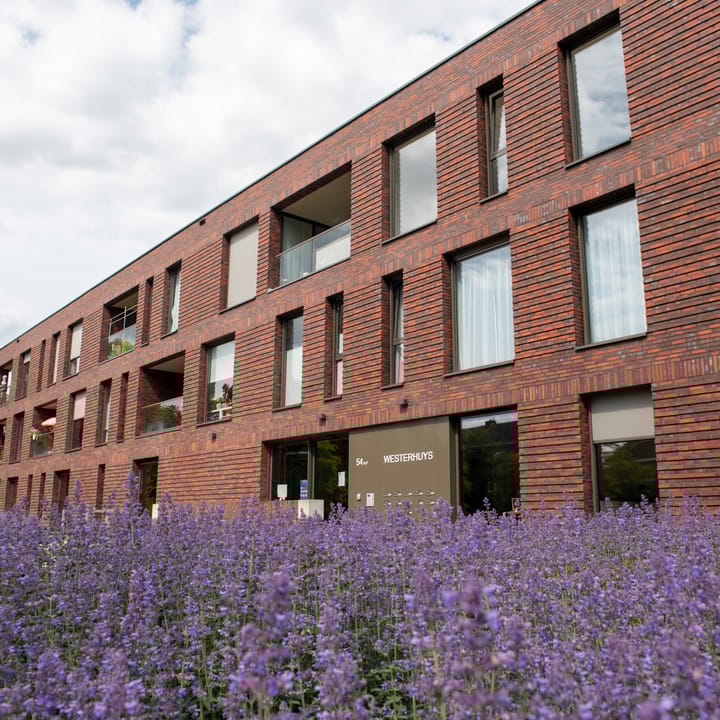 Foto 19 van Westerholm