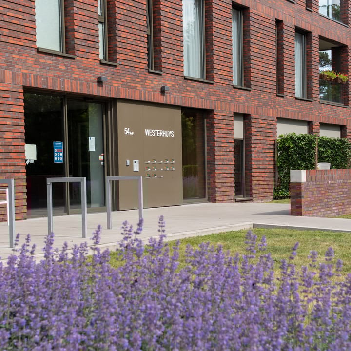 Foto 21 van Westerholm