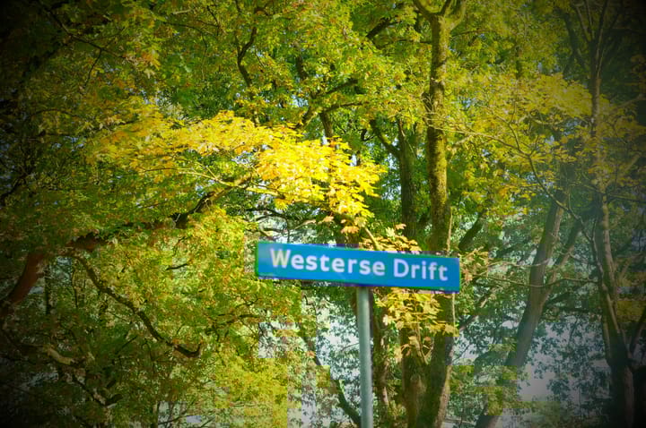 Foto 25 van Westerholm