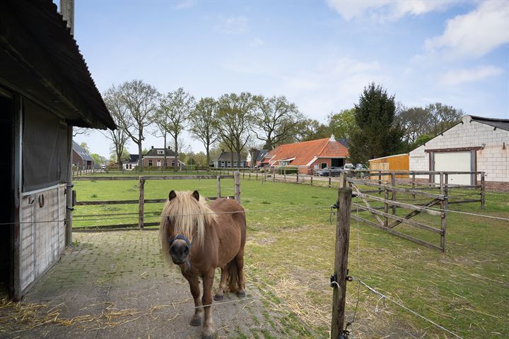 Bekijk foto 46 van Hoofdweg 240