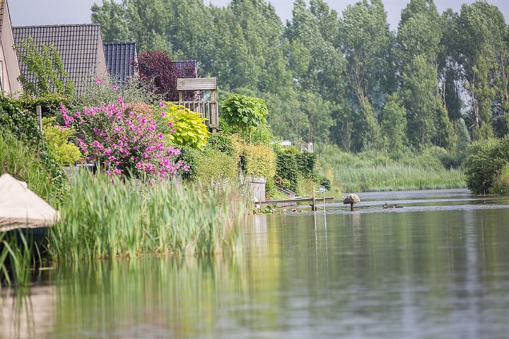 View photo 3 of IJsvogelvlinder - Lindewijk