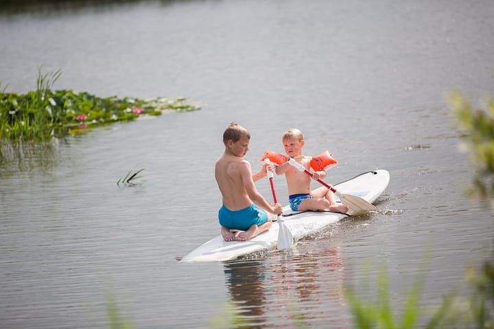 Foto 4 van IJsvogelvlinder - Lindewijk