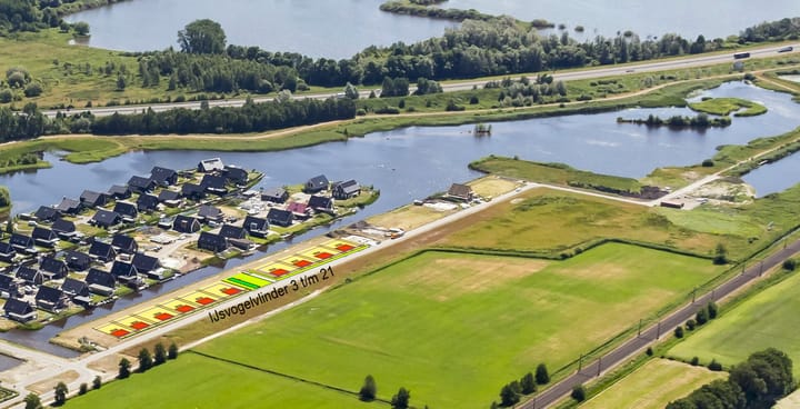 Foto 2 van IJsvogelvlinder - Lindewijk