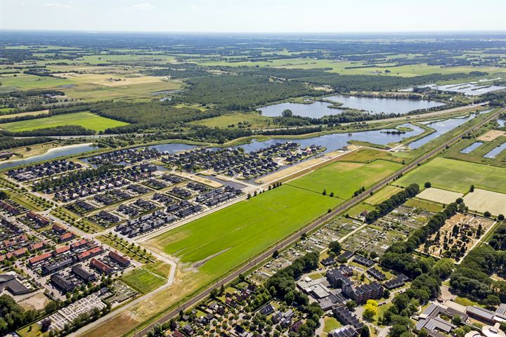 View photo 1 of IJsvogelvlinder - Lindewijk