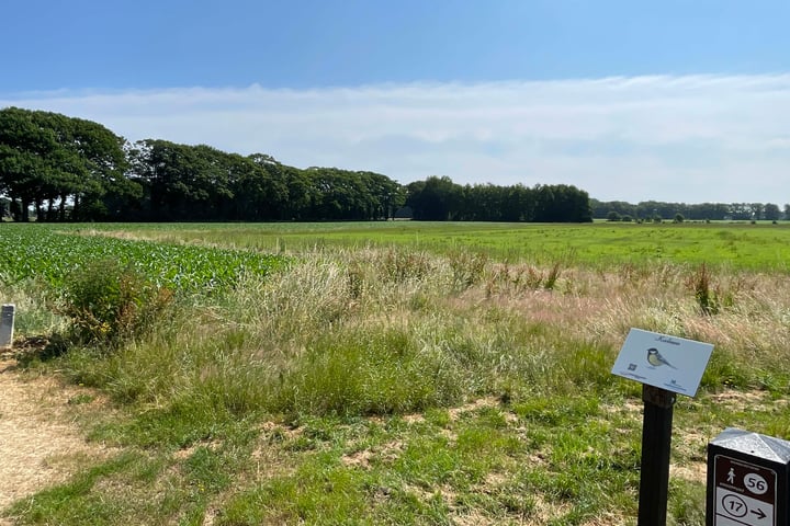 Bekijk foto 18 van Reindersdijk 2