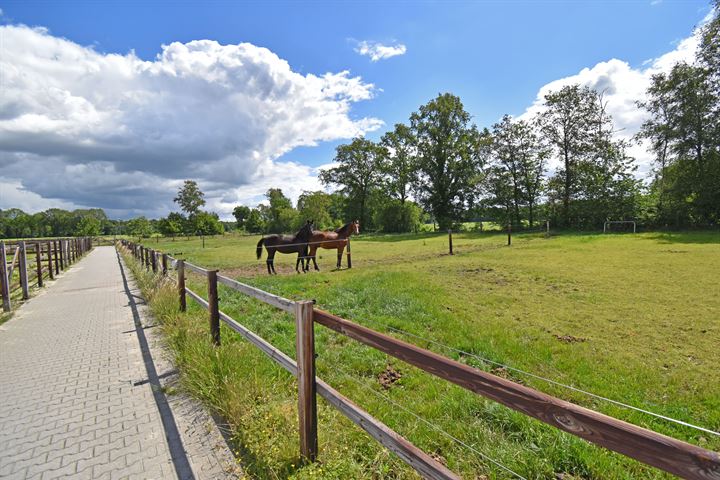 Bekijk foto 65 van Vliegveldstraat 47