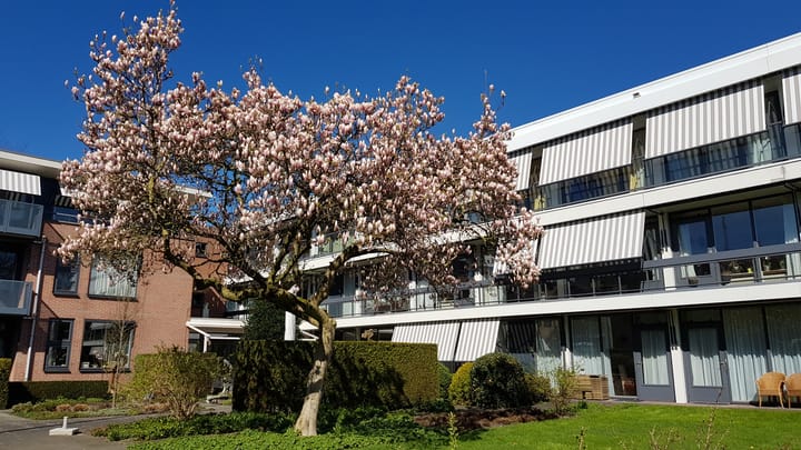 Foto van Irenehuys Portiekwoning
