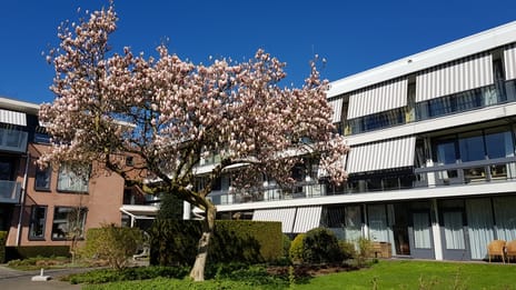 Image of Irenehuys Residential property with shared street entrance