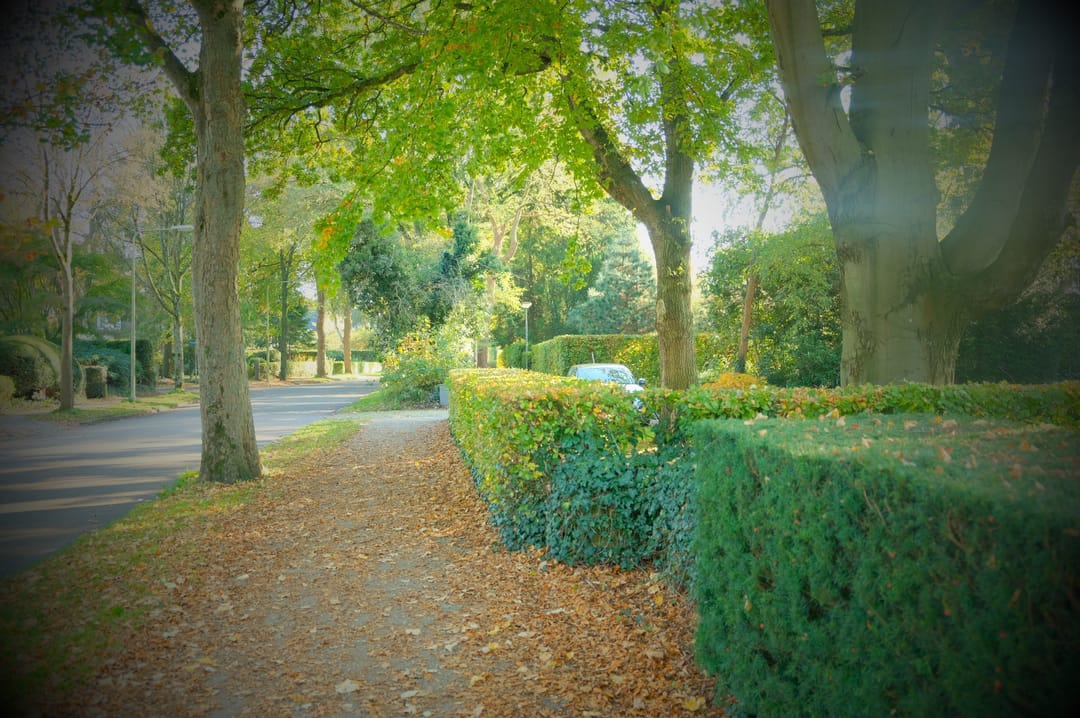 Foto 8 van Irenelaan 1-.