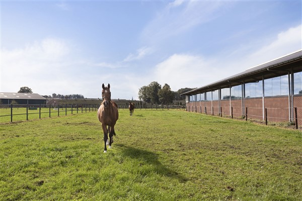 Bekijk foto 34 van Molenstraat 124