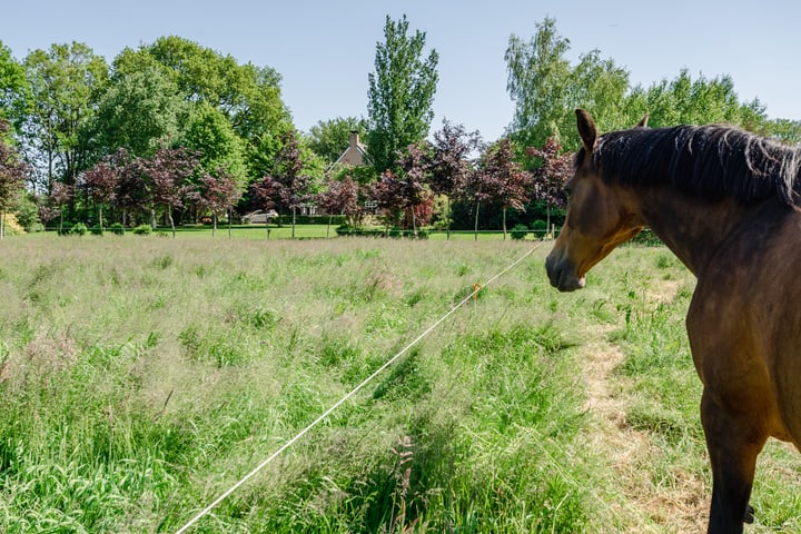 Bekijk foto 2 van van Zijlweg 1