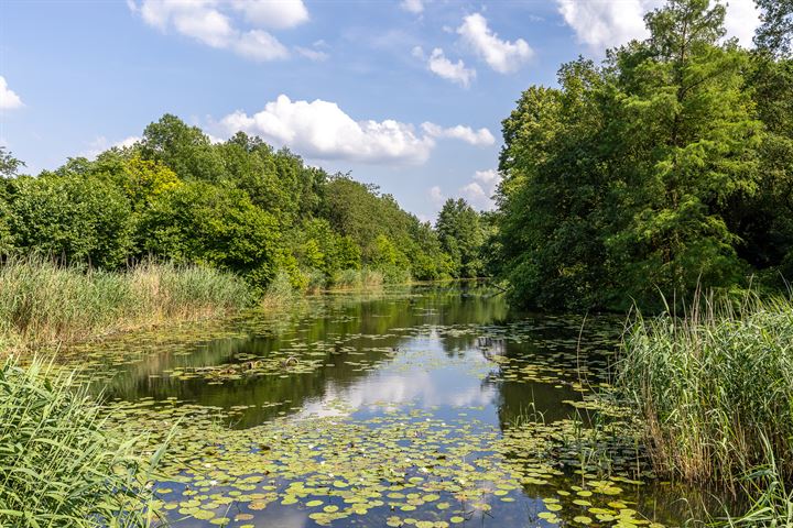 Bekijk foto 49 van Dorpsstraat LK 11