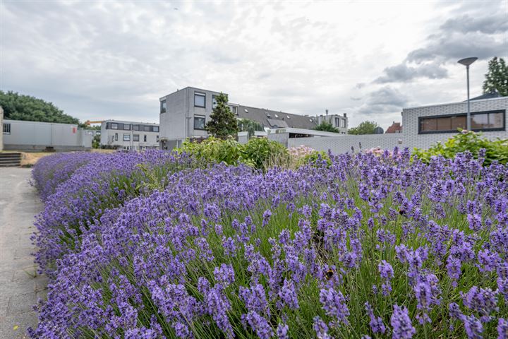 Bekijk foto 33 van Bonn en Meeswerf 229