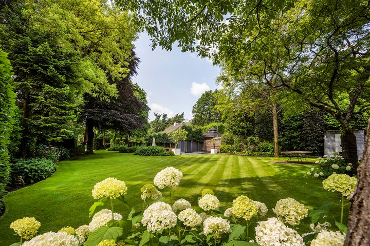 Bekijk foto 10 van Bierweg 25