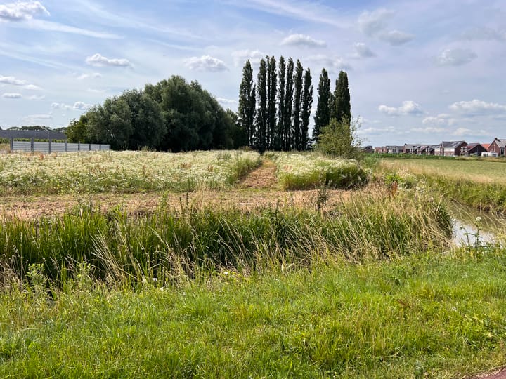 Foto 5 van van Heemstraweg kavel A