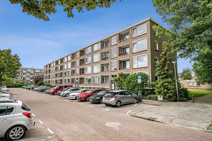 Bekijk foto 35 van Kritostraat 50