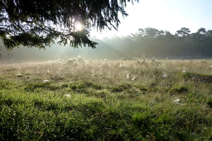 Bekijk foto 41 van Karnemelksweg 6-A